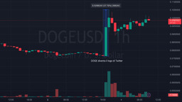 Dogecoin valore prezzo grafico oggi dopo che Musk ha cambiato il logo di Twitter