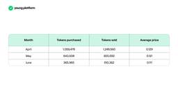 Token Young (YNG): updates and news Q2 2024