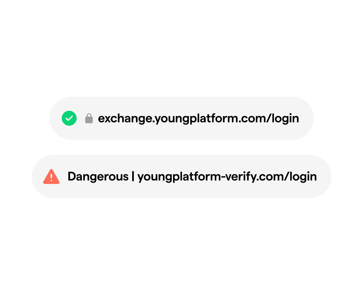 official and fraudulent URL examples