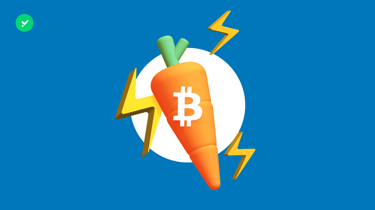 Bitcoin: stablecoins are coming with Taro. What is it for?