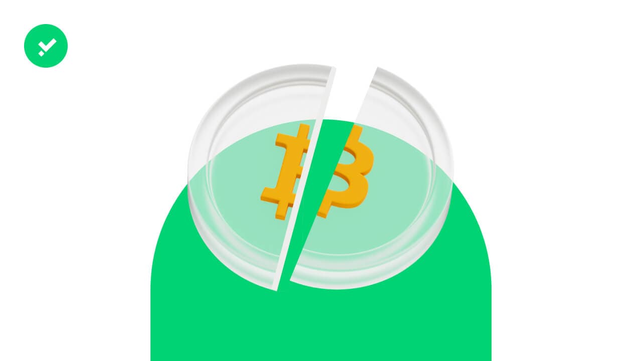 Bitcoin halving 2024: all the things to know