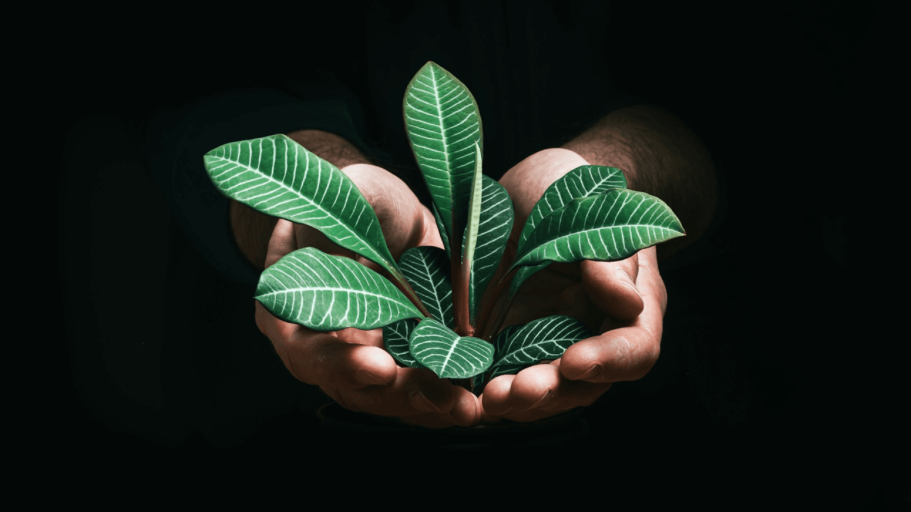 ESG e sostenibilità: l’investimento etico verso un futuro incerto?