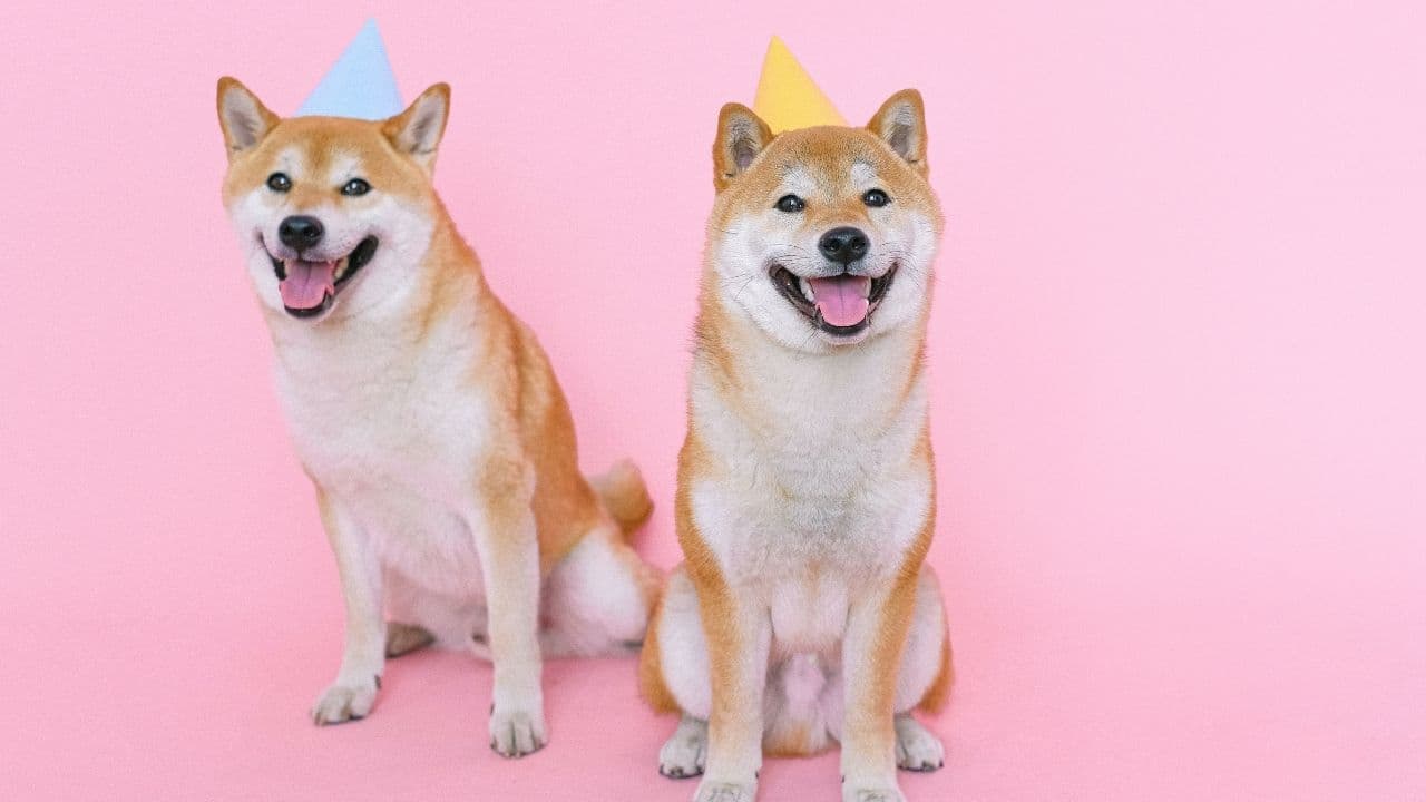 Dogecoin registra il suo marchio crypto anti truffe