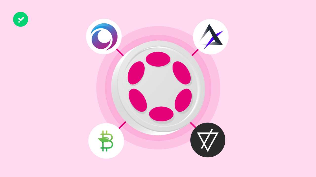 Polkadot parachain auctions: 4 new projects in October 2022