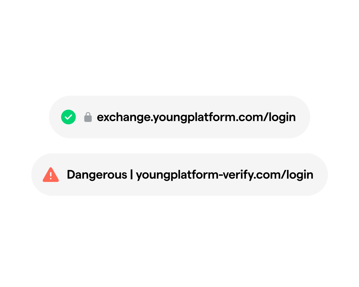 official and fraudulent URL examples