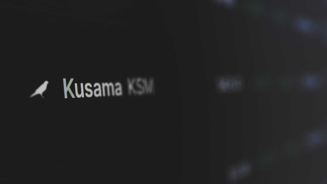 Kusama : enchères et dapps sur le réseau canari de Polkadot