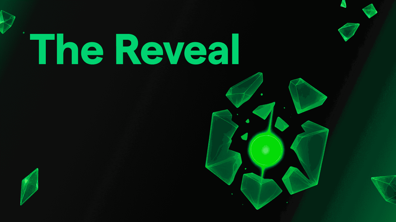 The Reveal: vinci Rolex, Duke 125 e altro ancora!