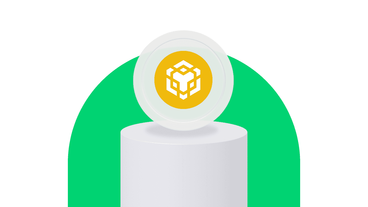 BNB lands on Young Platform: what it is and how to move it